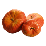 Huile de pépins de Courge en capsules (Cucurbita pepo)