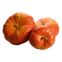 Huile de pépins de Courge capsules