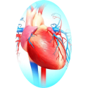 Cardiocool mélange en poudre