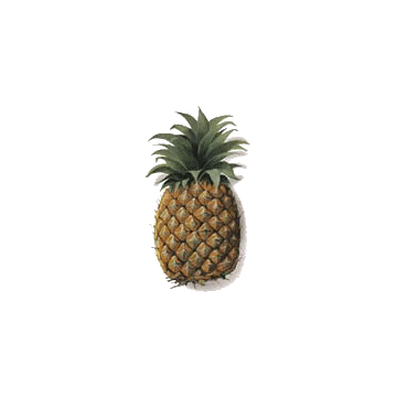 Ananas en gélules Pullulan