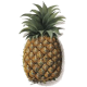 Ananas en gélules Pullulan