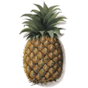 Ananas en gélules Pullulan