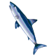 Cartilage de Requin en gélules