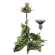 Chardon Marie Bio en gélules (Silybum marianum)
