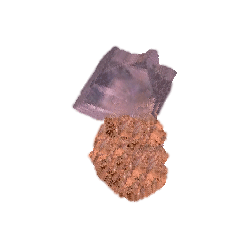 Dolomite 500 mg. gélules Pullulan