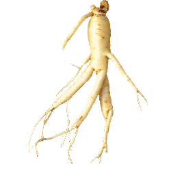 Ginseng Rouge bio en gélules