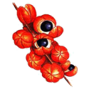 Guarana Warana gélules Pullulan