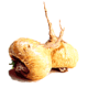 Maca Bio en gélules *