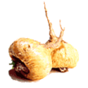Maca Bio en gélules *