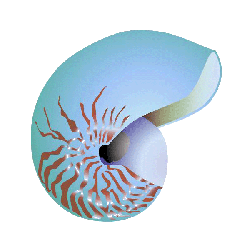 Magnesium Marin en gélules