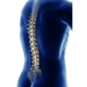 MSM (Méthyle Sulfonyle Méthane) gélules Pullulan