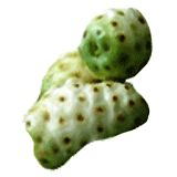 Noni Hawaïen fruits en gélules (Morinda citrifolia)