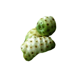 Noni Fruit en gélules Pullulan