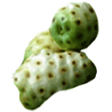 Noni Fruit en gélules Pullulan