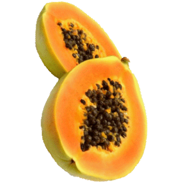 Papaye Fermentée gélules Pullulan