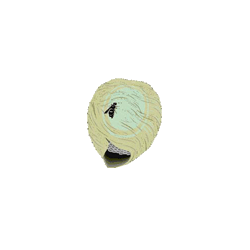 Pollen Bio en gélules *