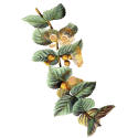 Huile essentielle Eucalyptus Citronné Bio*