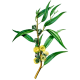 Huile essentielle Eucalyptus Cryptone Bio*