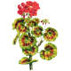 Huile essentielle Geranium Egypte Bio*