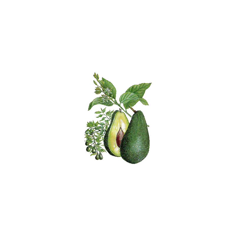 Huile végétale Vierge d'Avocat Bio*