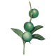 Huile végétale Macadamia Vierge Bio*