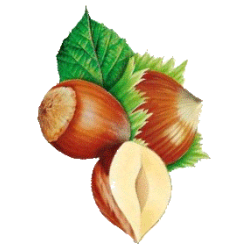 Huile végétale Noisette Vierge Bio*