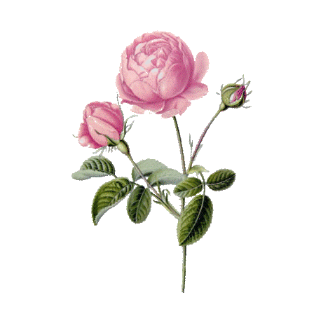 Herend - Vase et jardinière (2) - Porcelaine