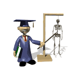Silicium organique solution buvable (Articulations & Os)