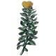 Rhodiola Rosea gélules Pullulan