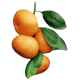 Huile essentielle Mandarine Rouge Bio*