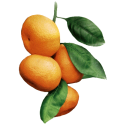Huile essentielle Mandarine Rouge Bio*