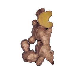 Gingembre Bio en gélules