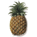 Bromélaine en gélules anti-inflammatoire naturel (Ananas comosus)