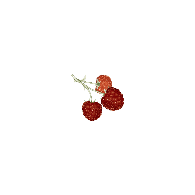 Cétones de Framboise en gélules