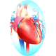Cardiocool mélange gélules Pullulan
