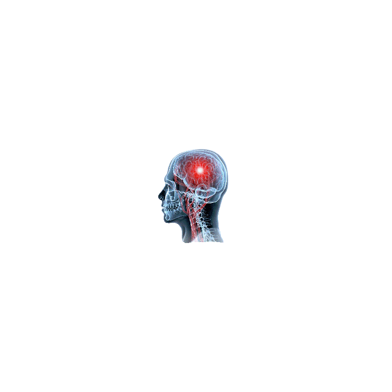 Cerveau & Système nerveux mélange en gélules Régénération