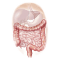 Inflestins mélange gélules Pullulan