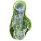 Lymphovie mélange gélules Pullulan