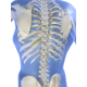 Structuros mélange gélules Pullulan