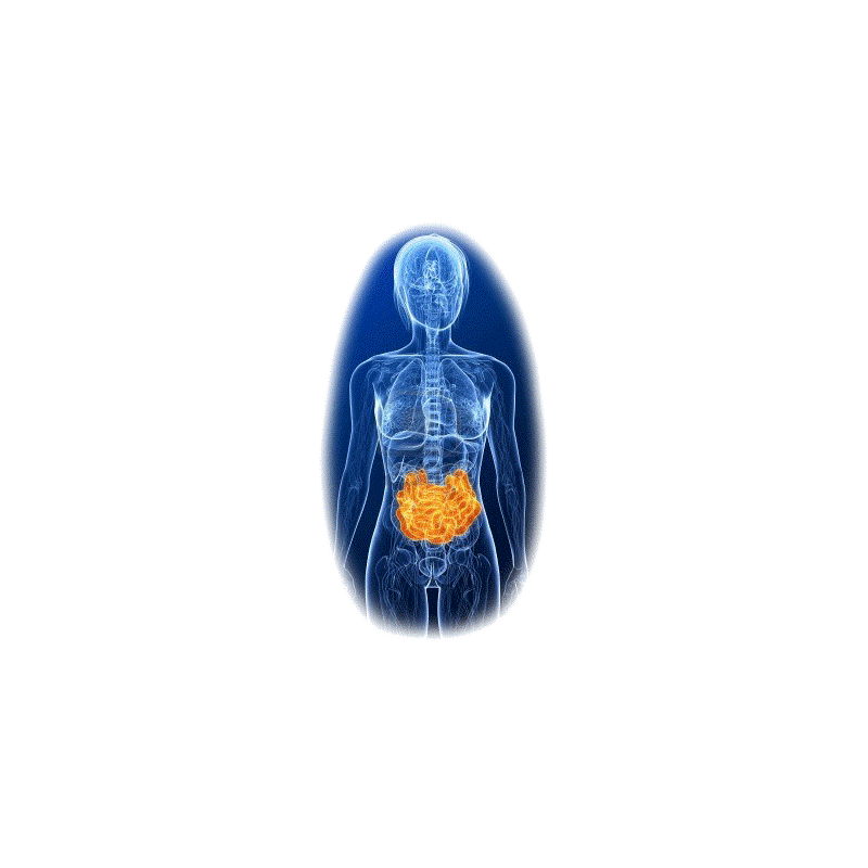 Parasites mélange en gélules Régénération