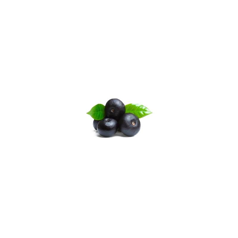 Açaie Bio en gélules (Euterpe oleracea)