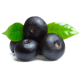 Açaie Bio en gélules (Euterpe oleracea)