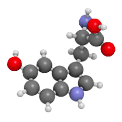 Tryptophane-L en gélules Pullulan