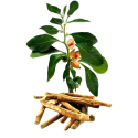 Ashwagandha Withania BIO en gélules