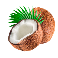 Huile végétale COCO Vierge Bio*