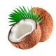 Huile végétale COCO Vierge Bio*