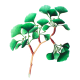 Ginkgo biloba Extrait Bio gélules *