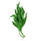 Oméga 3 Végétal Végan capsules