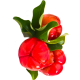 Acérola extrait de fruits BIO en gélules (Immunité)