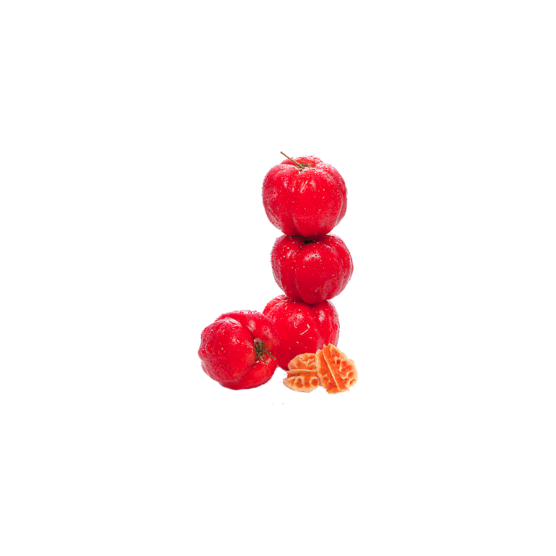 Acérola extrait de fruits BIO en gélules (Immunité)